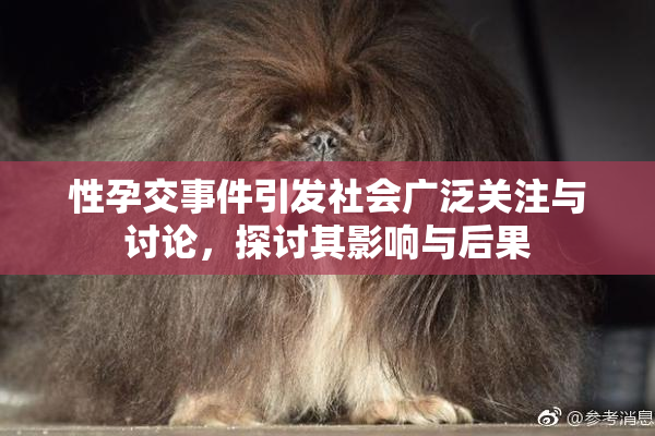 性孕交事件引发社会广泛关注与讨论，探讨其影响与后果
