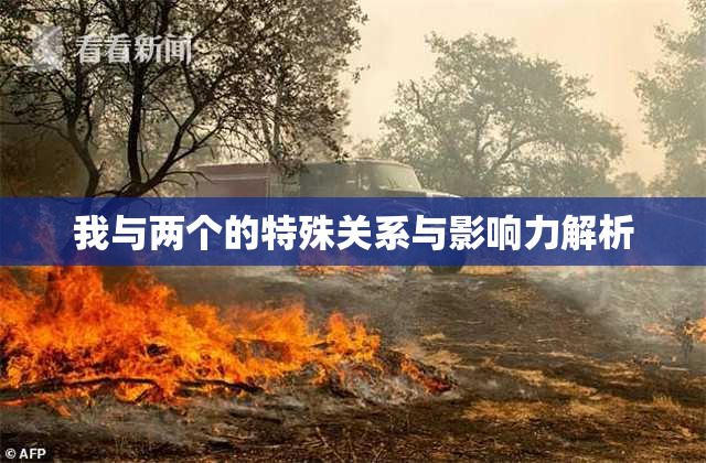 我与两个的特殊关系与影响力解析