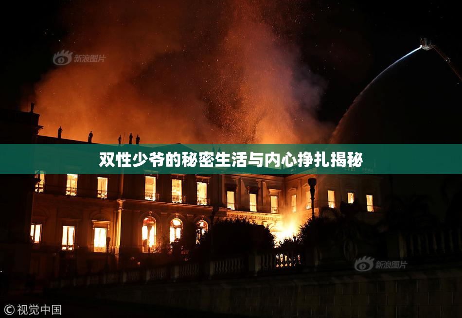 双性少爷的秘密生活与内心挣扎揭秘