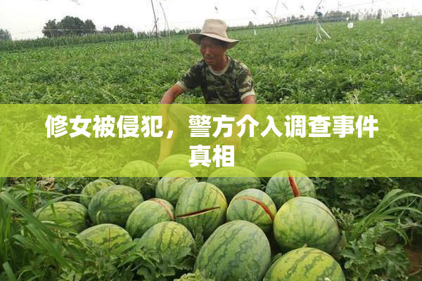 修女被侵犯，警方介入调查事件真相