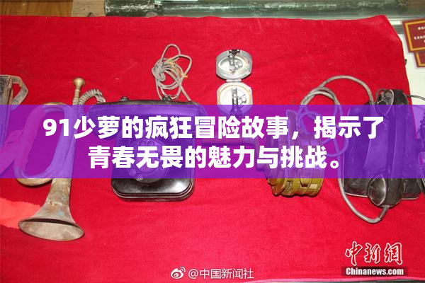 91少萝的疯狂冒险故事，揭示了青春无畏的魅力与挑战。
