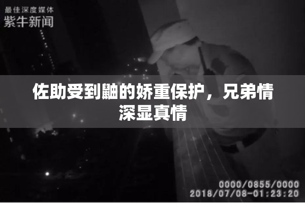 佐助受到鼬的娇重保护，兄弟情深显真情
