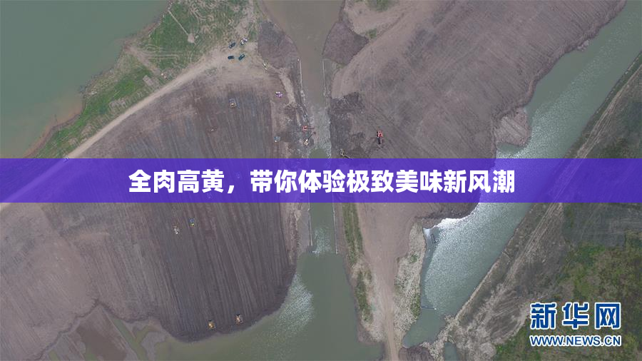 全肉高黄，带你体验极致美味新风潮