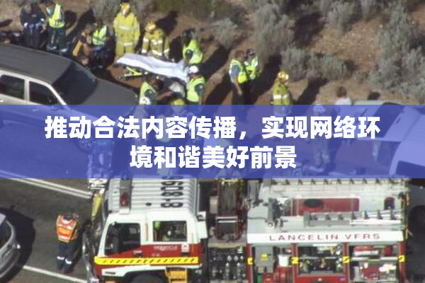 推动合法内容传播，实现网络环境和谐美好前景