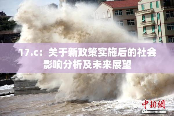17.c：关于新政策实施后的社会影响分析及未来展望