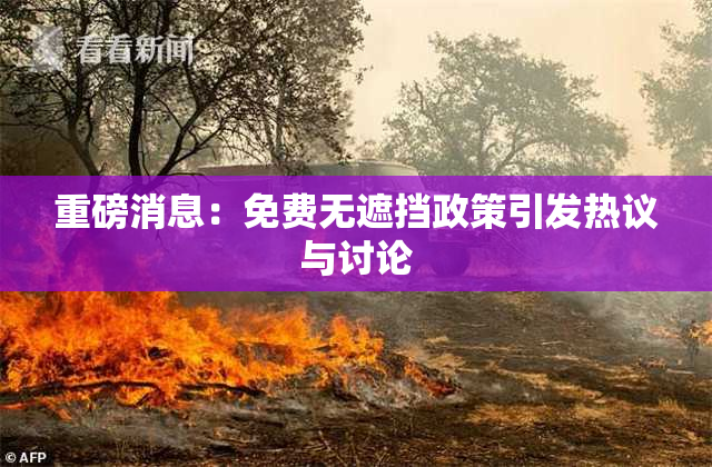 重磅消息：免费无遮挡政策引发热议与讨论