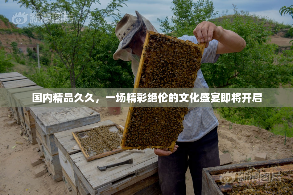 国内精品久久，一场精彩绝伦的文化盛宴即将开启
