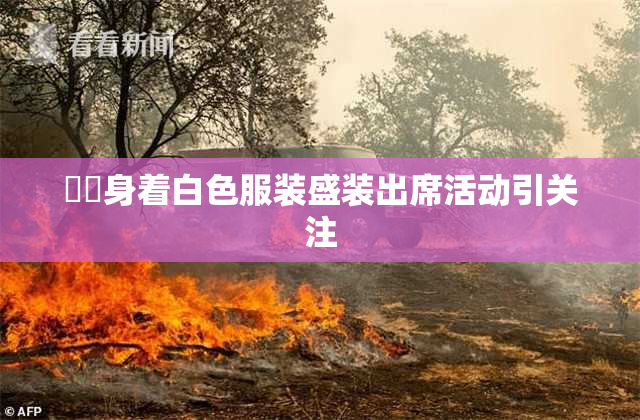 妺妺身着白色服装盛装出席活动引关注