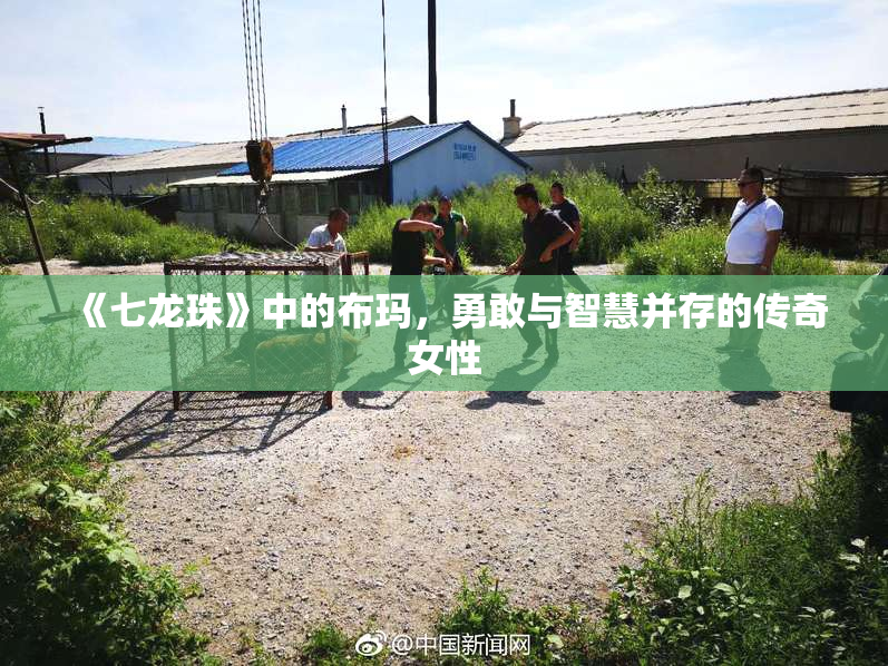 《七龙珠》中的布玛，勇敢与智慧并存的传奇女性