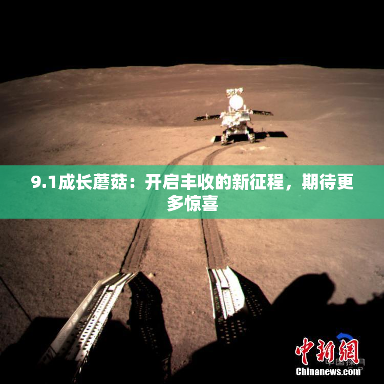 9.1成长蘑菇：开启丰收的新征程，期待更多惊喜