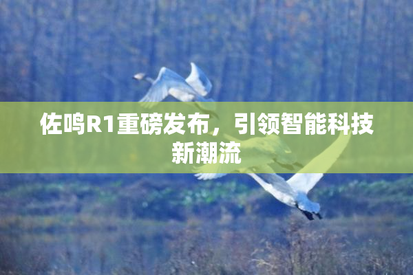 佐鸣R1重磅发布，引领智能科技新潮流
