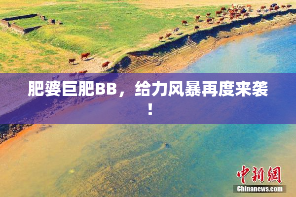 肥婆巨肥BB，给力风暴再度来袭！