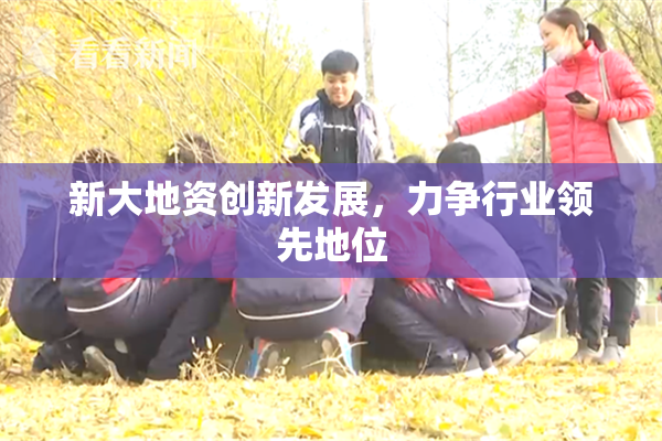 新大地资创新发展，力争行业领先地位