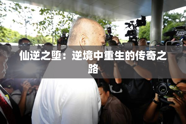 仙逆之堕：逆境中重生的传奇之路