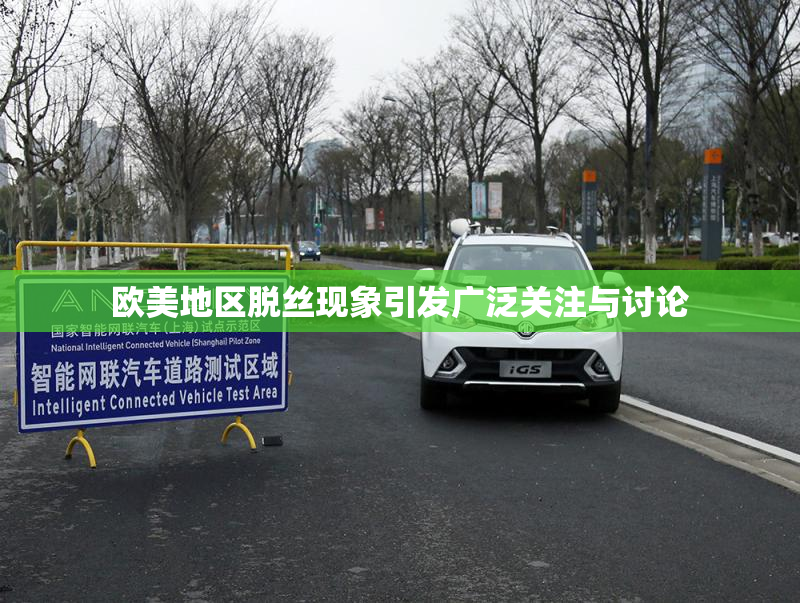 欧美地区脱丝现象引发广泛关注与讨论