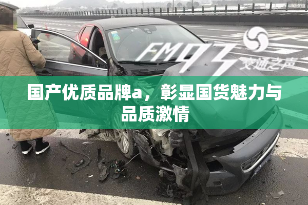 国产优质品牌a，彰显国货魅力与品质激情