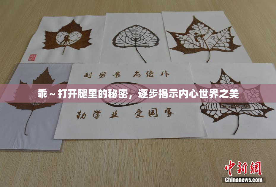 乖～打开腿里的秘密，逐步揭示内心世界之美