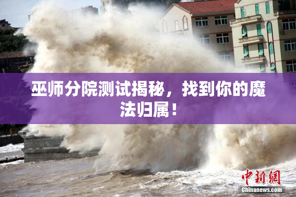 巫师分院测试揭秘，找到你的魔法归属！