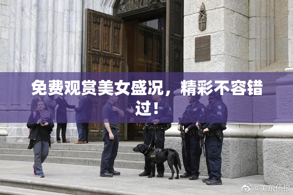免费观赏美女盛况，精彩不容错过！