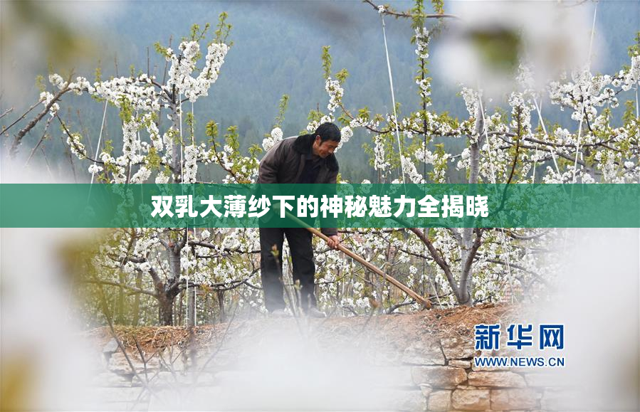 双乳大薄纱下的神秘魅力全揭晓