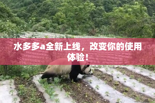 水多多a全新上线，改变你的使用体验！