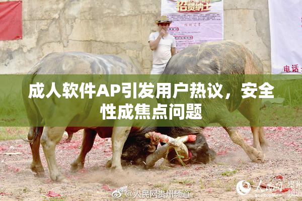 成人软件AP引发用户热议，安全性成焦点问题
