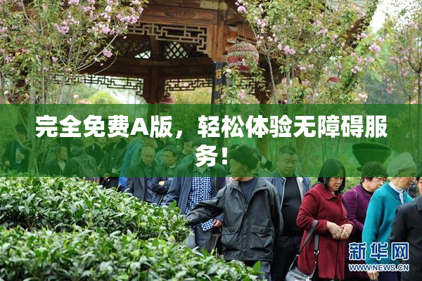 完全免费A版，轻松体验无障碍服务！
