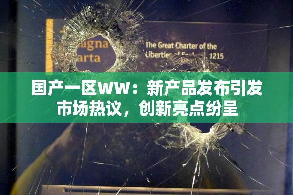 国产一区WW：新产品发布引发市场热议，创新亮点纷呈