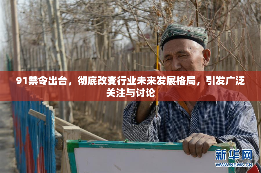 91禁令出台，彻底改变行业未来发展格局，引发广泛关注与讨论