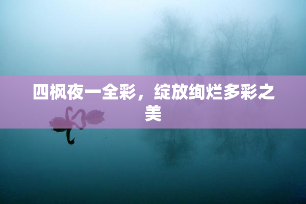 四枫夜一全彩，绽放绚烂多彩之美