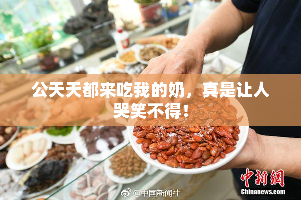 公天天都来吃我的奶，真是让人哭笑不得！