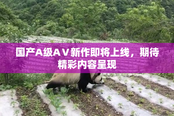 国产A级AⅤ新作即将上线，期待精彩内容呈现