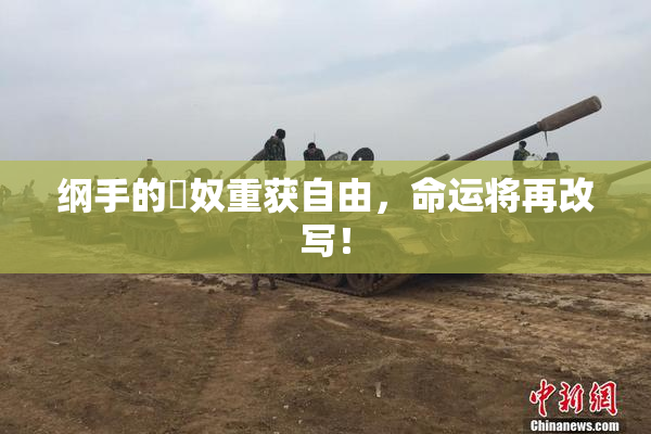 纲手的婬奴重获自由，命运将再改写！