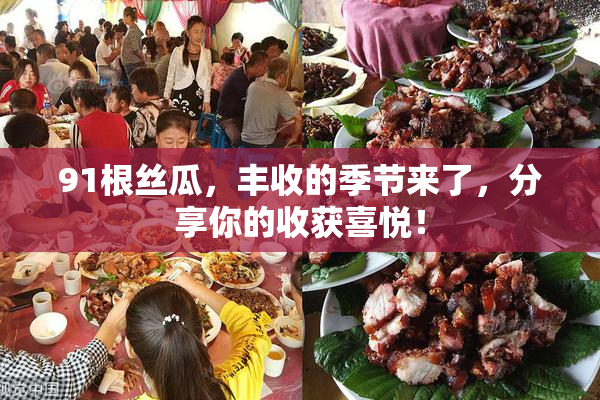 91根丝瓜，丰收的季节来了，分享你的收获喜悦！