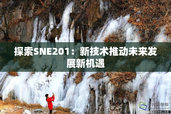 探索SNE201：新技术推动未来发展新机遇