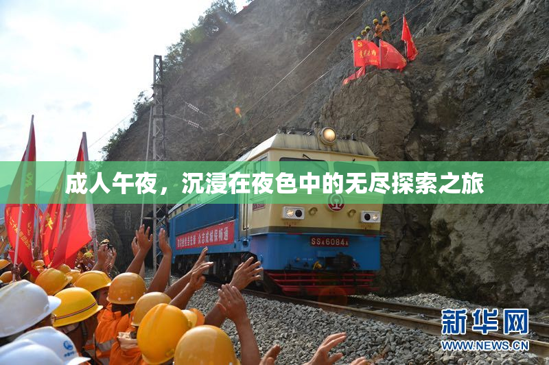成人午夜，沉浸在夜色中的无尽探索之旅