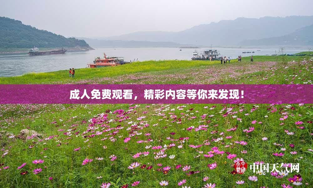 成人免费观看，精彩内容等你来发现！