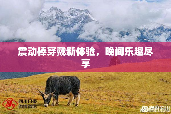 震动棒穿戴新体验，晚间乐趣尽享