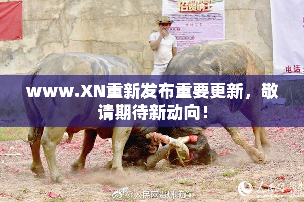 www.XN重新发布重要更新，敬请期待新动向！