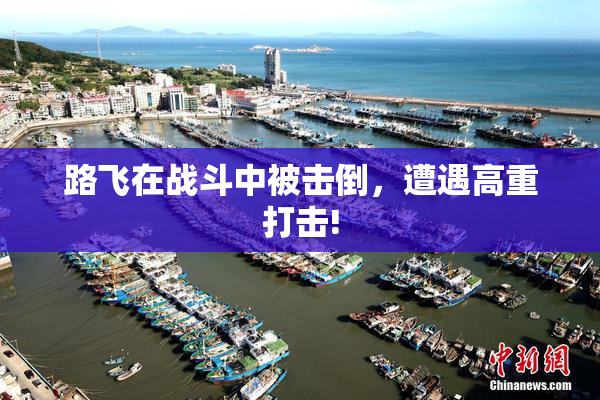 路飞在战斗中被击倒，遭遇高重打击!