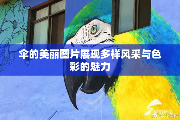 伞的美丽图片展现多样风采与色彩的魅力