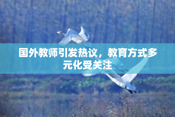 国外教师引发热议，教育方式多元化受关注