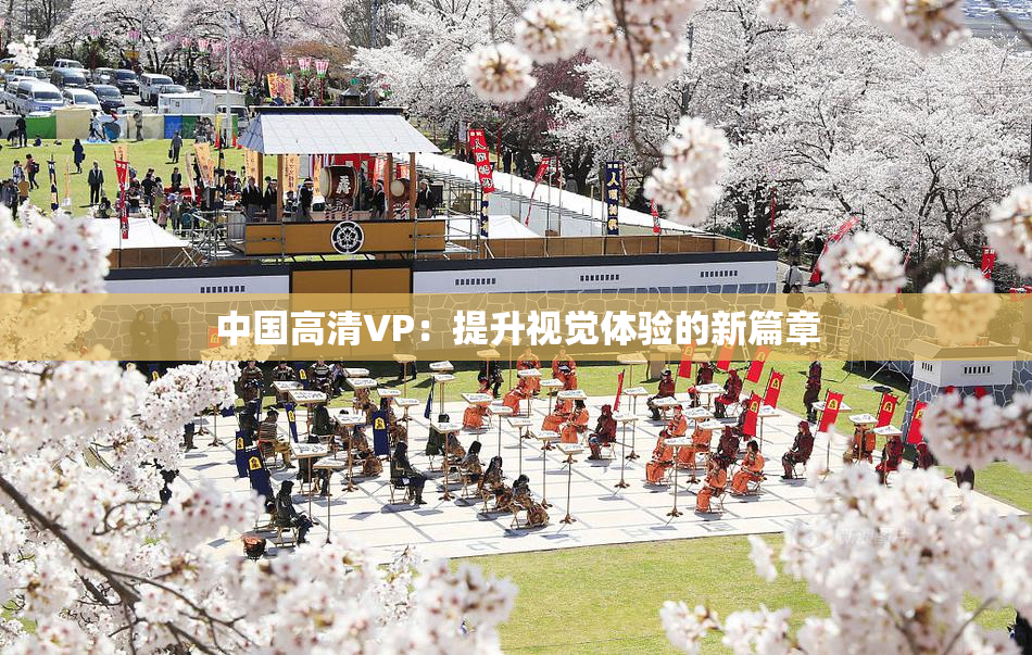 中国高清VP：提升视觉体验的新篇章