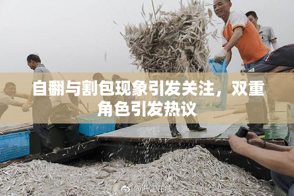 自翻与割包现象引发关注，双重角色引发热议