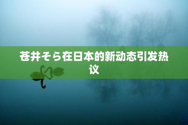 苍井そら在日本的新动态引发热议