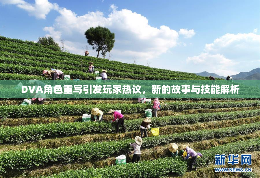 DVA角色重写引发玩家热议，新的故事与技能解析