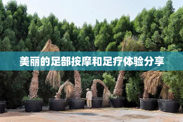 美丽的足部按摩和足疗体验分享