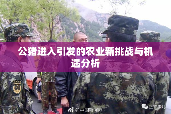 公猪进入引发的农业新挑战与机遇分析