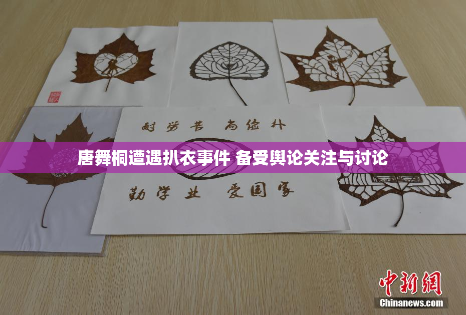 唐舞桐遭遇扒衣事件 备受舆论关注与讨论