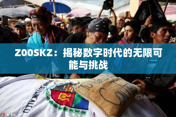Z00SKZ：揭秘数字时代的无限可能与挑战
